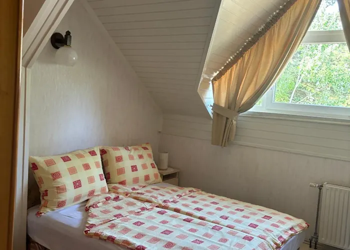 Otto Vendeghaz Διαμέρισμα *