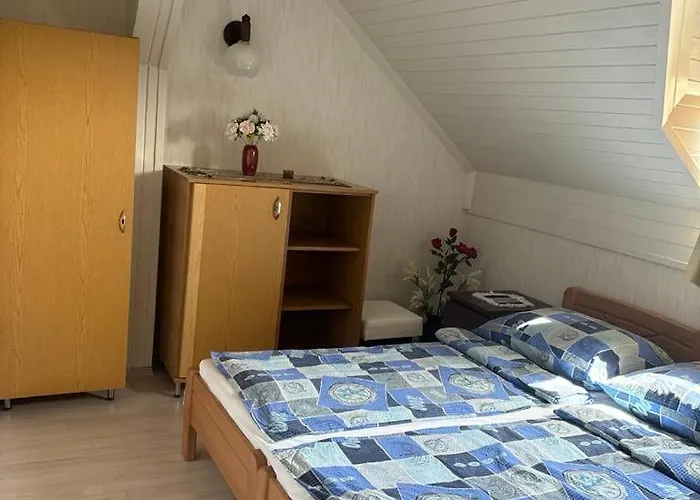 Otto Vendeghaz Lejlighed *